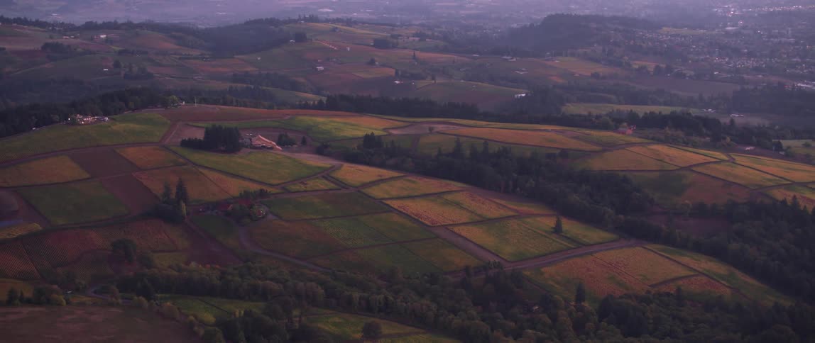 The farm is on one of the hills in this valley
