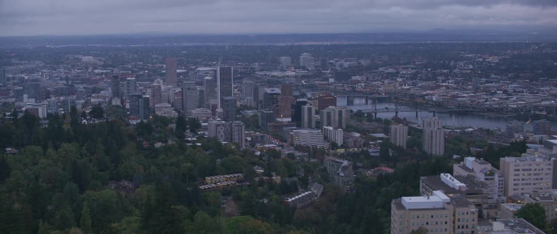 Tall city buildings tower into the skyline
