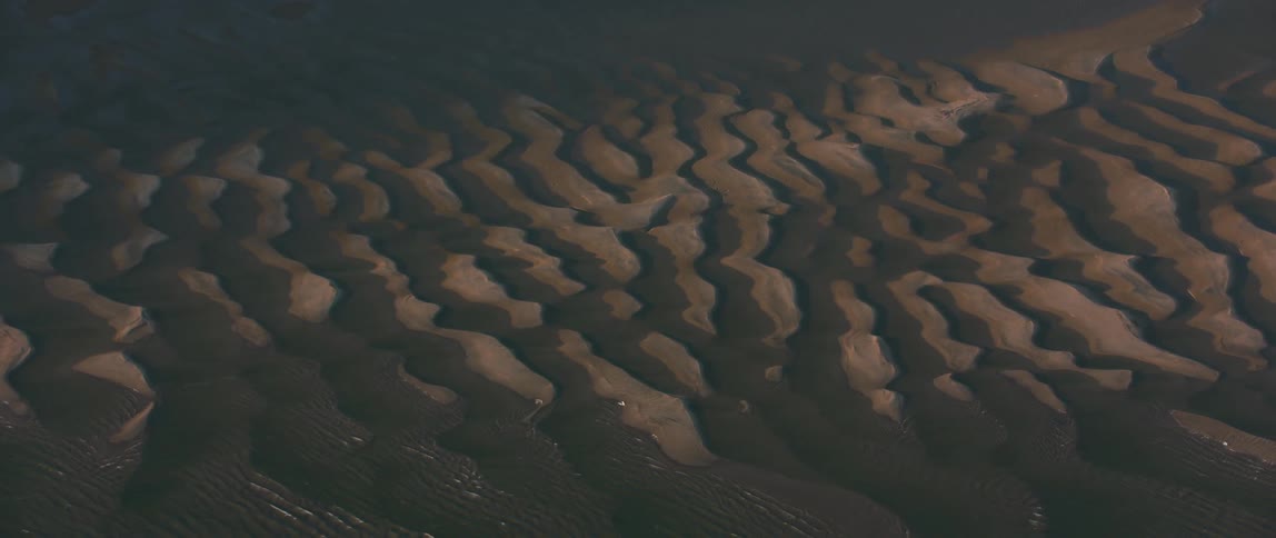 Rippled sand covers the ground