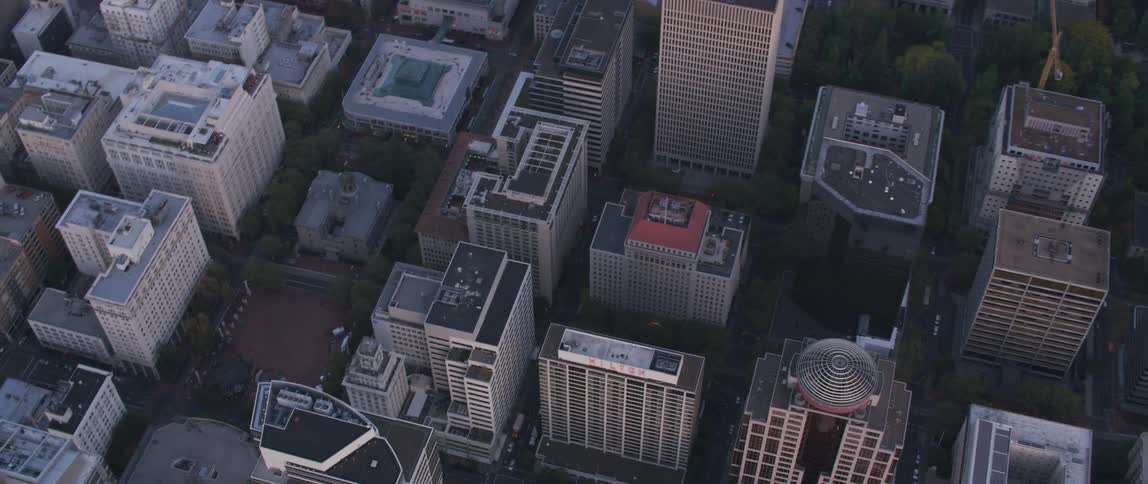 Rows of buildings in the downtown of a city