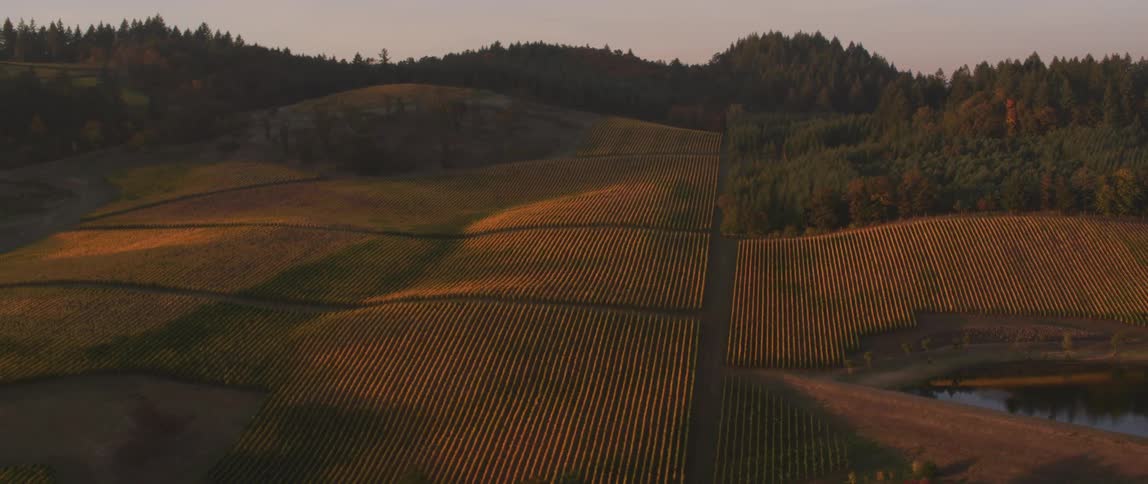 Grass and trees cover the hilly landscape