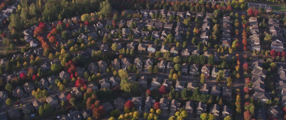 Fall trees line the neighborhood streets in rows of houses
