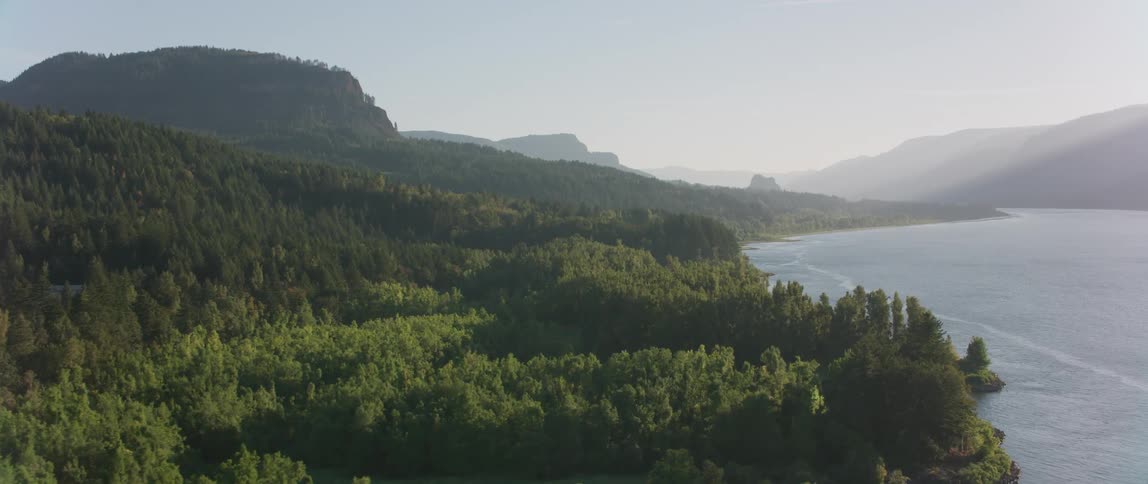 Trees line the coast and hills along the shore