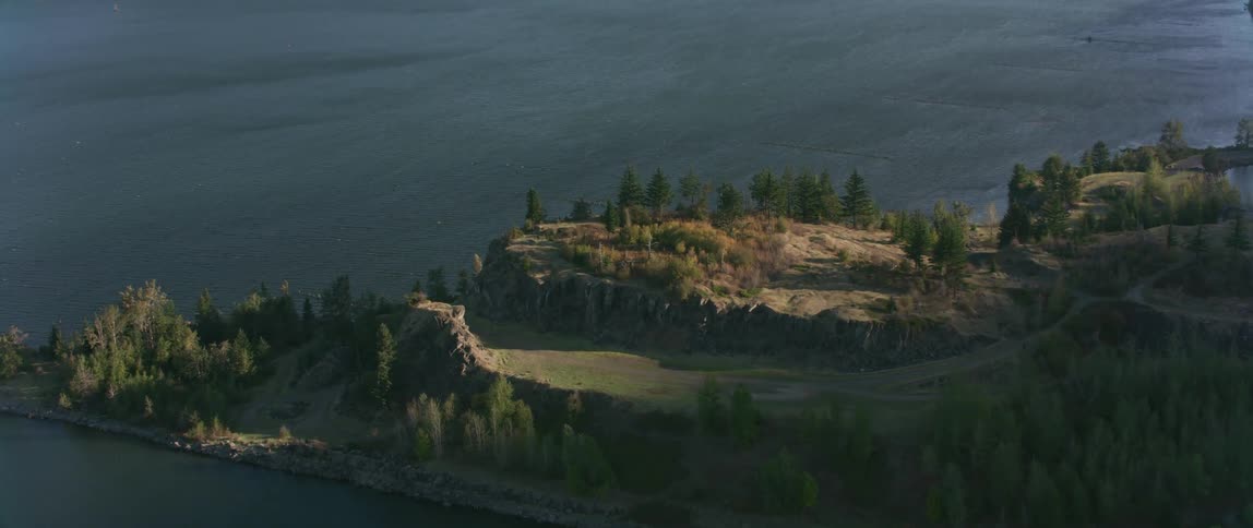 Trees grow on the rocky shore