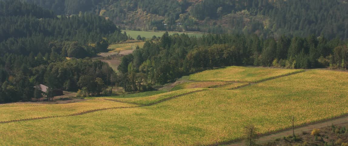 Crops cover agricultural land