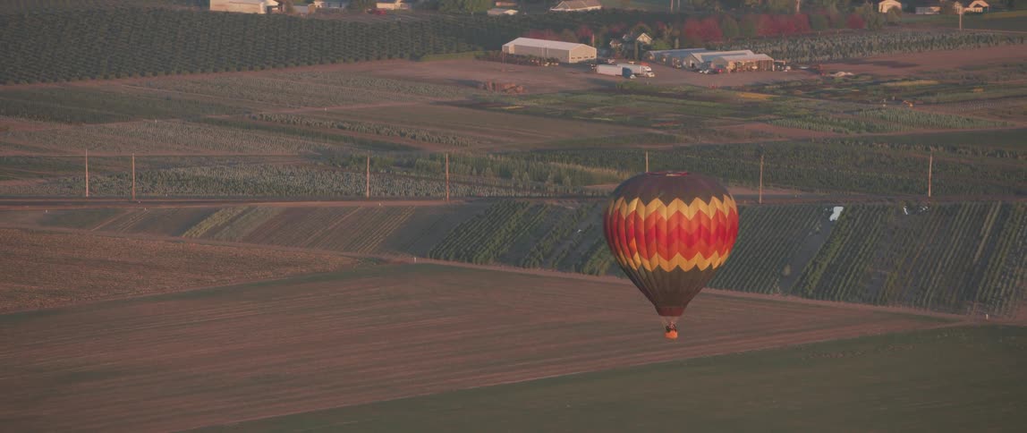Hot air balloon floats over a field on a sunny day