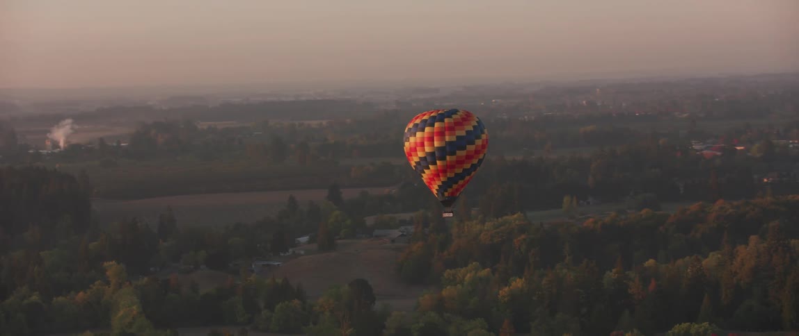 A hot air balloon flies in the sky