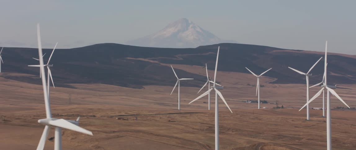 Windmills spin in a large open field