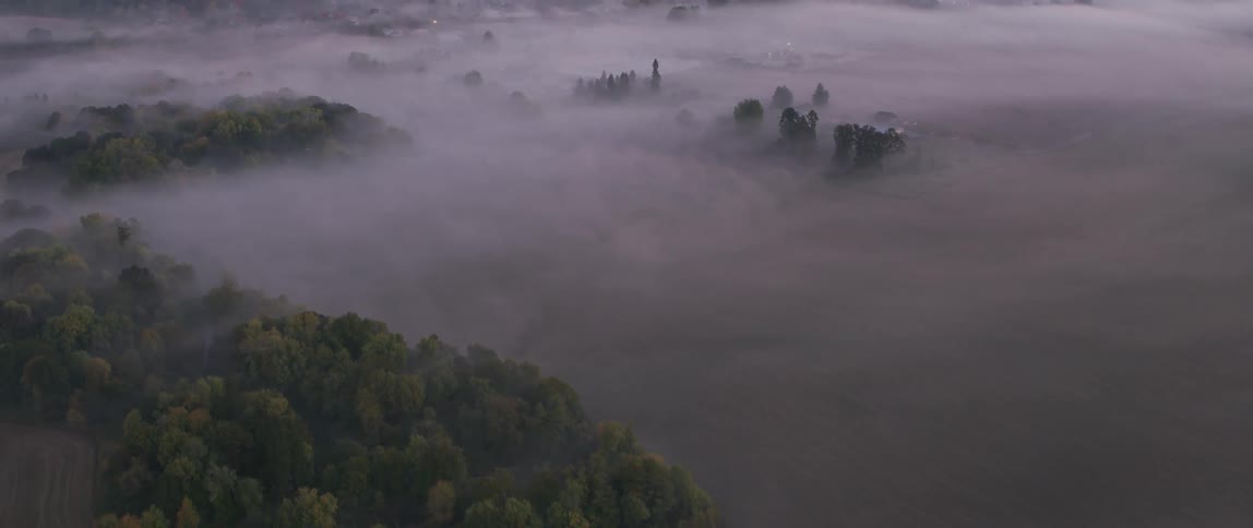 Fog covers farm fields and trees