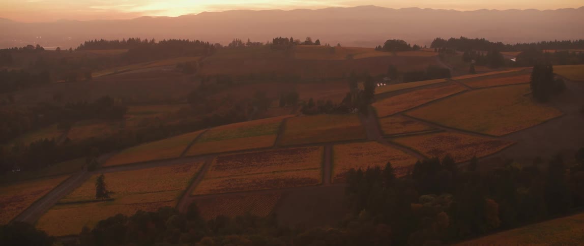The sun shines on an open field in the morning