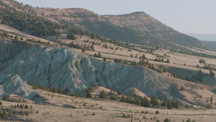 The hills ahead have patchy groups of trees, and many rocks
