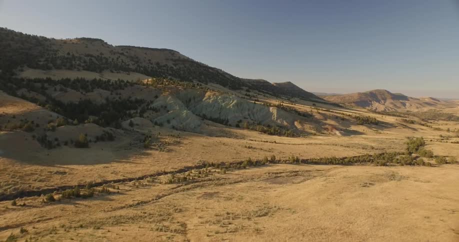A sunny desert landscape