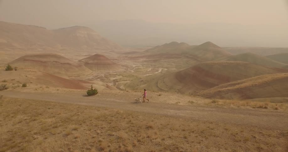 A man is walking his dog on a trail in a natural setting on a hazy day