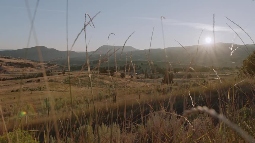 The sun is casting rays as it rises over a hilltop during the day