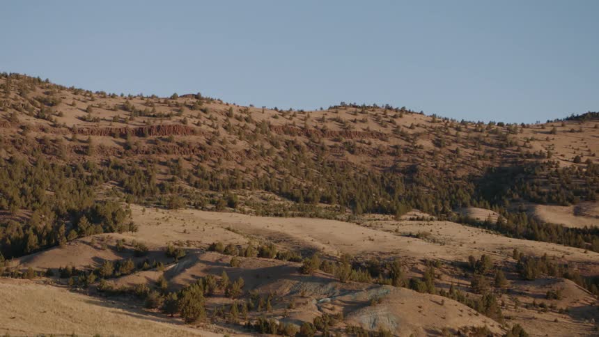 Shadows are stretching along the hills in a natural setting on a sunny day