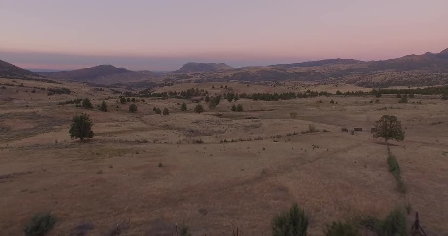 Trees dot a dirt landscape at sunset