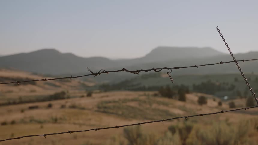 A barbed wire fence sits on a ranch