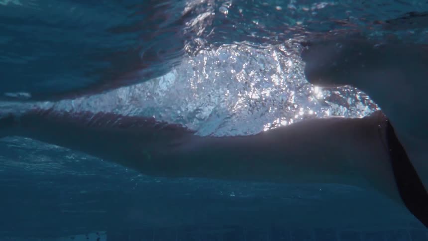A female is swimming in a pool during the day