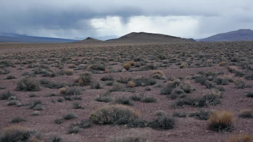 View of a brushy desert on a cloudy day