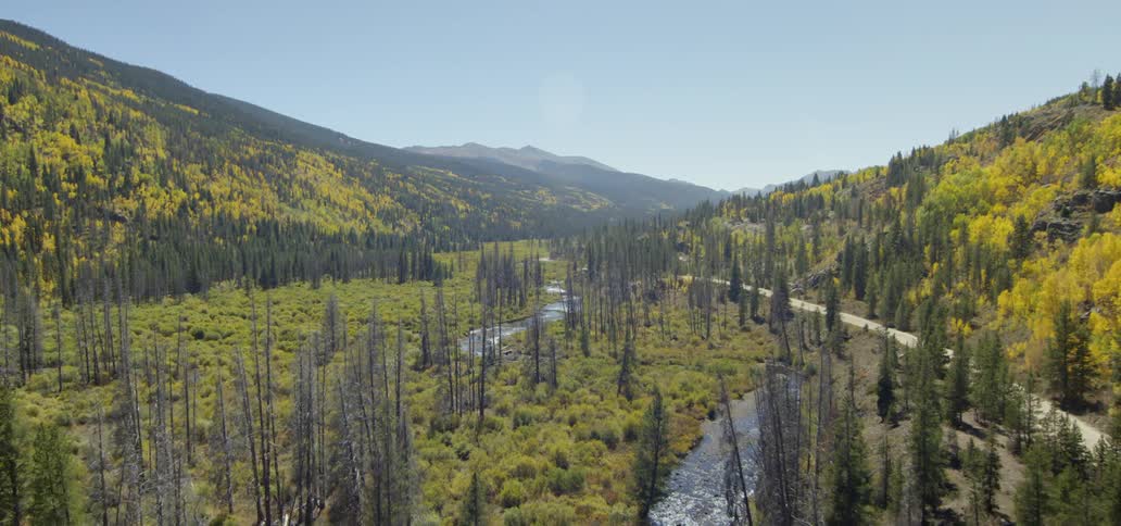 Trees and shrubs cover the landscape