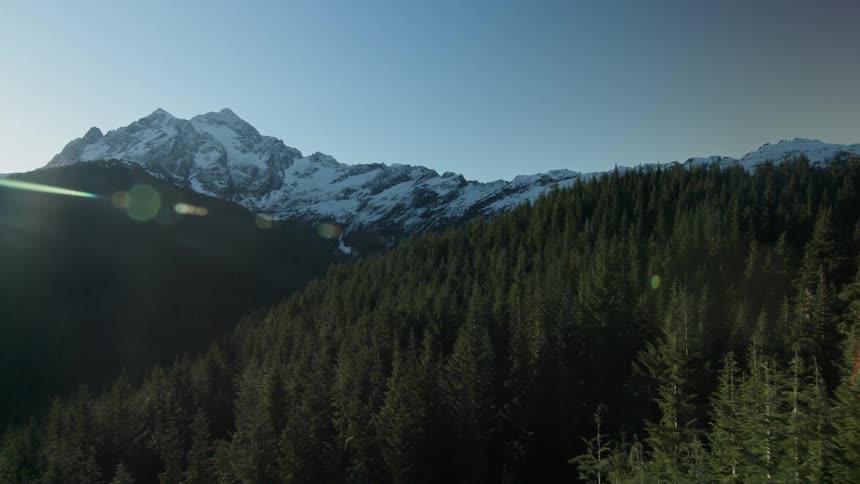 Sunlight is shining on a forest in a mountain valley