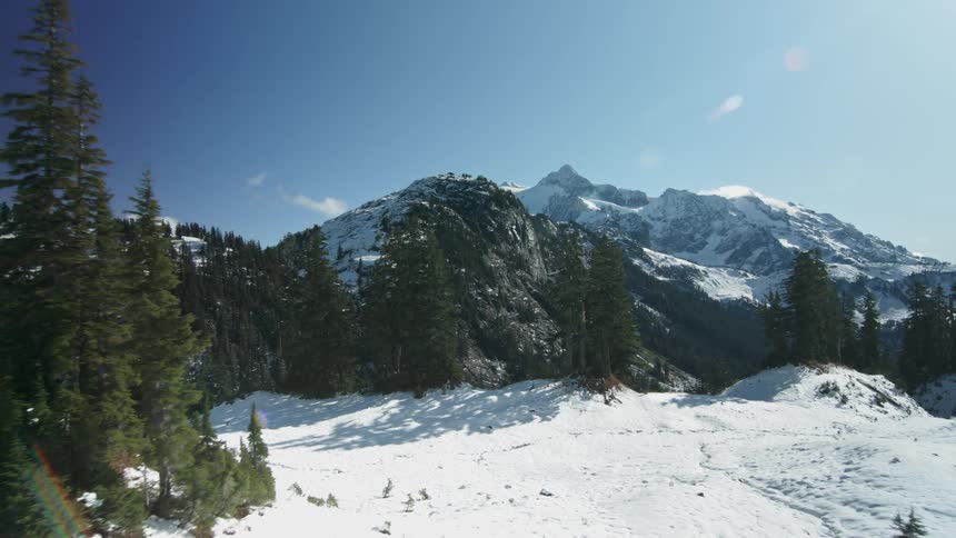 The cliff is lined with tall trees on a sunny day
