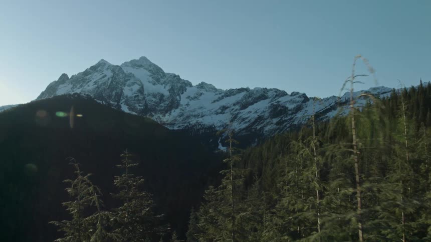 Snow-covered mountains beyond a forest on a clear day