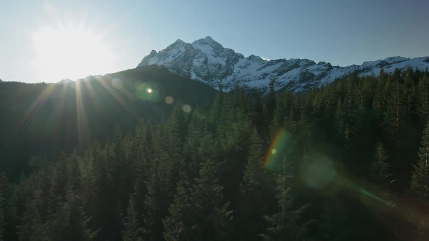 The sun shines on a tree covered mountain