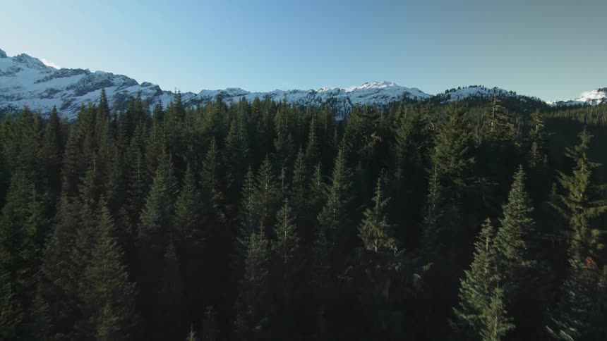 Sunlight is shining on a forest in a mountain valley