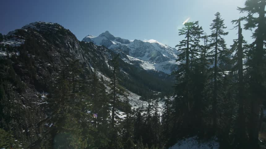 Trees cover the snow mountain landscape
