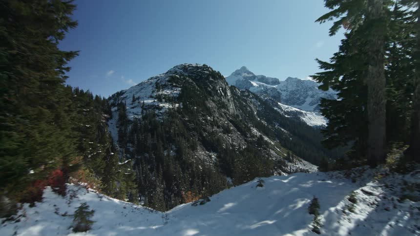 Snow and trees cover a mountain peaks and slope