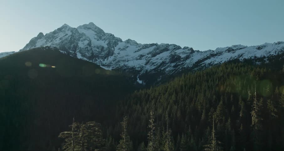 Shadows are covering a forest and mountain on a sunny morning