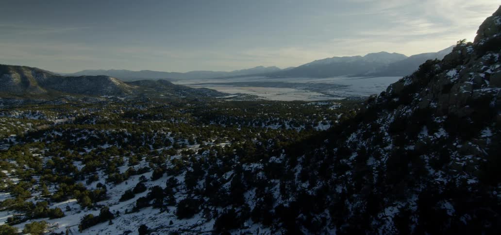 Trees and shrubs cover the snowy mountain landscape