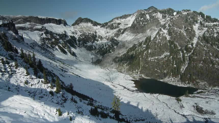 Tall trees are on the mountain and over the edge