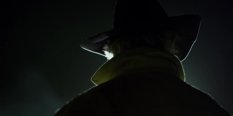 A man wearing a stetson hat is standing outside