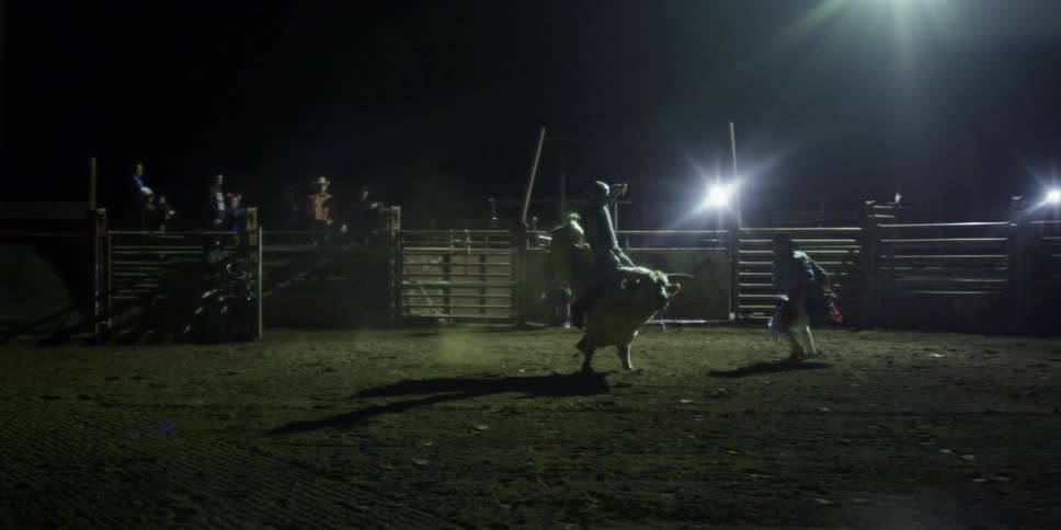 A bull tries to buck a man from his back at night