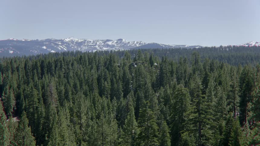 Tall green trees line the mountain environment