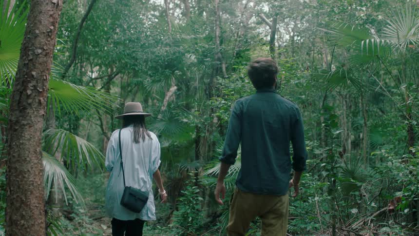 A couple are walking through a rainforest during the day