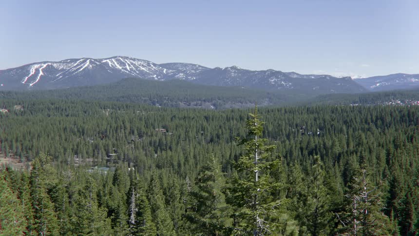 The tall green trees fill the valley before the mountain