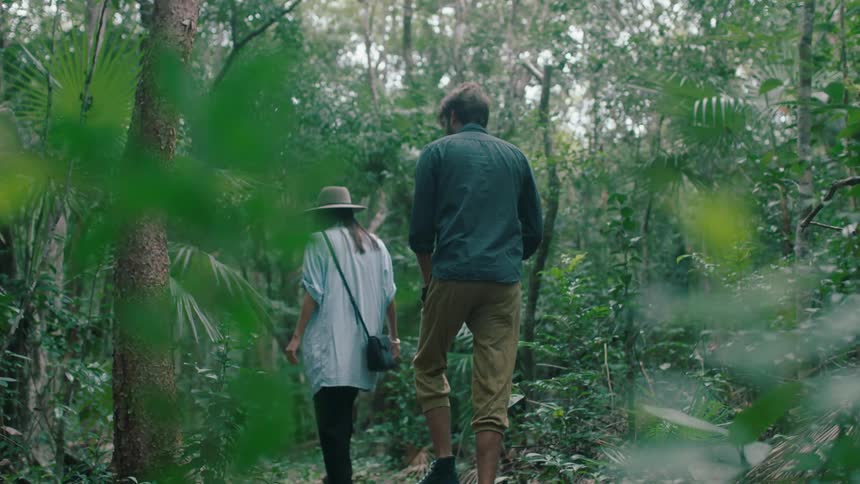 A couple are walking through a rainforest during the day