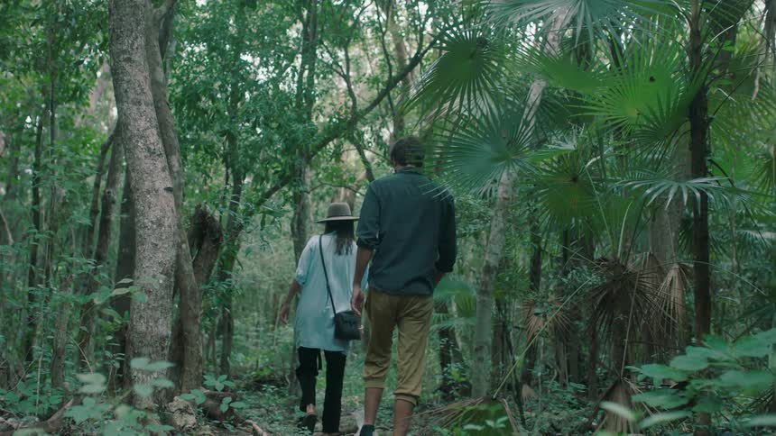 Two people walk together past the trees in the wilderness