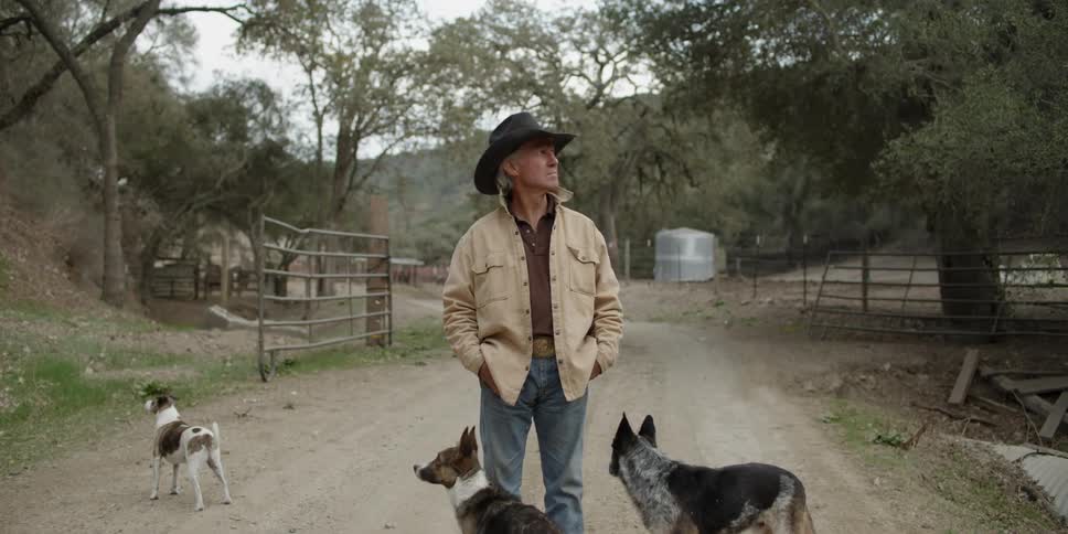 Cowboy standing on a dirt road with several dogs around him