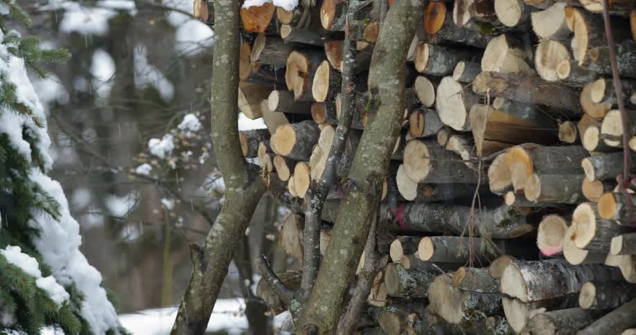 The snow slowly falls around the pile of logs