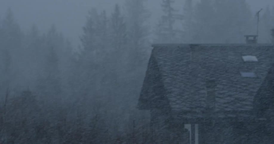 Snow falls on a cabin and trees