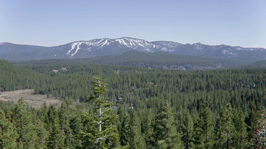 Tall trees surround the snow covered mountain ahead