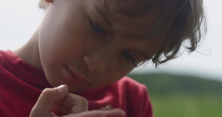 A boy holds a bug on his finger