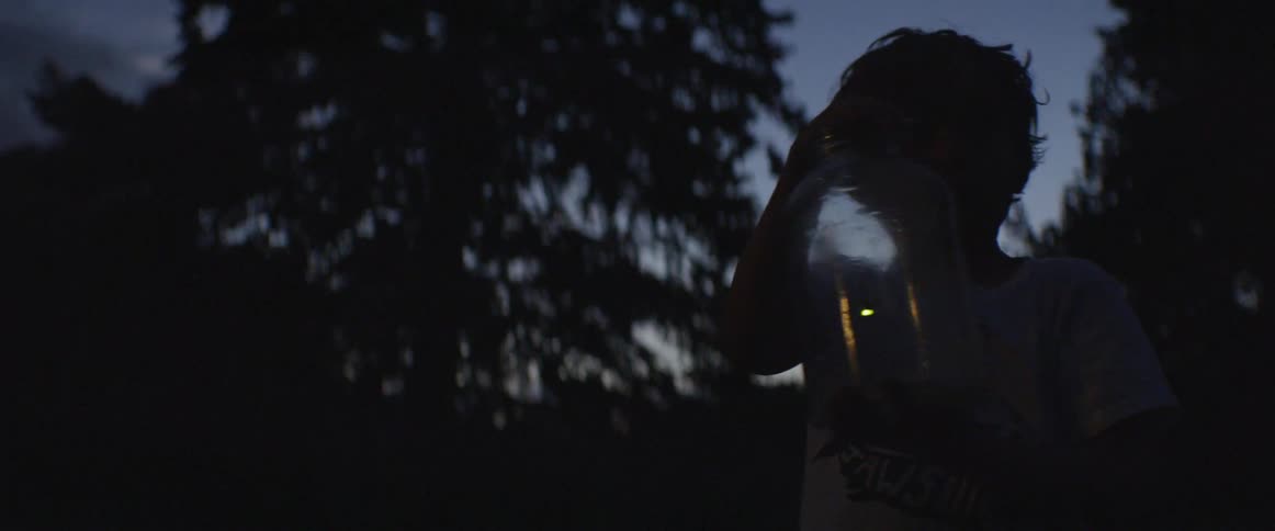 A boy is catching fireflies in a jar at dusk