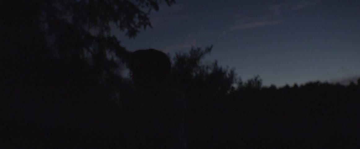 A boy catches a bug outside at night