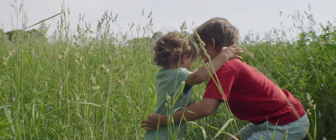 A child having trouble moving through tall grass is lifted up