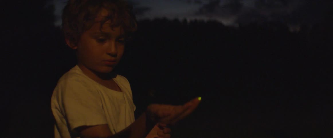 A child holds his hand out at night as fireflies land on him
